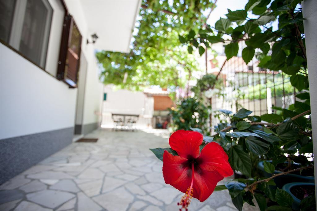 Apartments Mladen Дуче Экстерьер фото